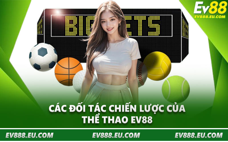 Các đối tác chiến lược của thể thao EV88